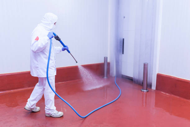 Best Gas Station Cleaning  in Palmetto Bay, FL
