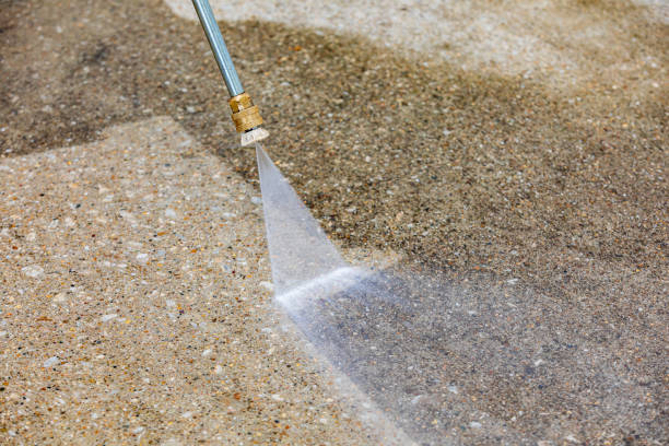 Best Animal Enclosure Cleaning  in Palmetto Bay, FL